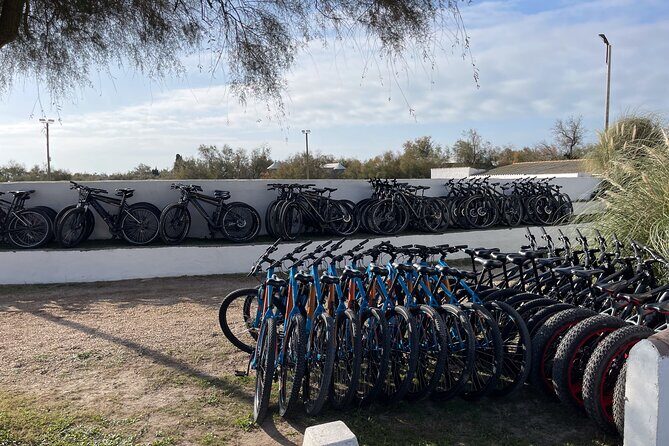 Mountain bike rental in Camargue - What Travelers Are Saying