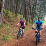 Mountain Biking on Vrmac peninsula - Panoramic view on Kotor bay - In-Depth Look at the Itinerary