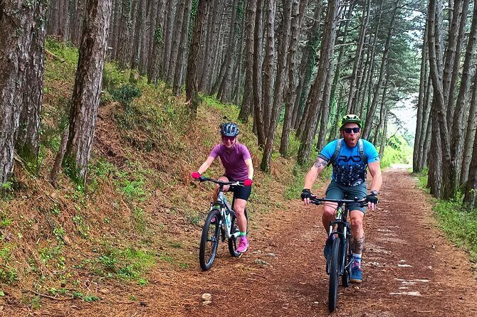 Mountain Biking on Vrmac peninsula - Panoramic view on Kotor bay - In-Depth Look at the Itinerary