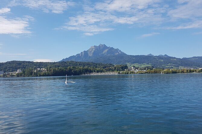 Mt. Pilatus Golden Roundtrip Small Group Day Trip from Basel - What Travelers Say: Authentic Perspectives