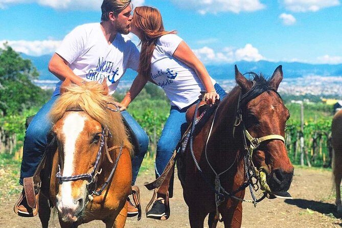 Mt. Vesuvius Wine Tasting and Lunch Experience from Pompeii - Detailed Breakdown: Why This Tour Works