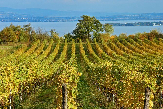 Mt Vesuvius - The Itinerary in Detail
