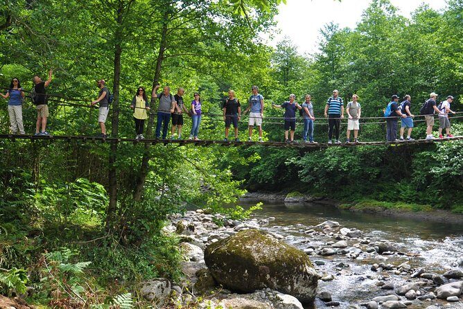 Mtirala National Park Tour - Is This Tour Worth the Price?