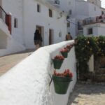 Mudejar Route and White Villages Small-Group Tour with Lunch - The Culmination: Sayalonga and Lunch