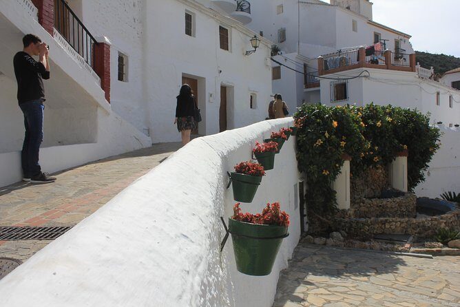 Mudejar Route and White Villages Small-Group Tour with Lunch - The Culmination: Sayalonga and Lunch