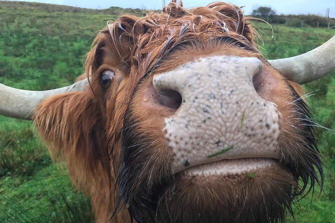 Multi Day Private Tour Of Scotland - Day 2: Highlands and the No-Rules Approach