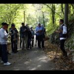 Mushroom or Truffle Hunting - What to Expect During the Tour