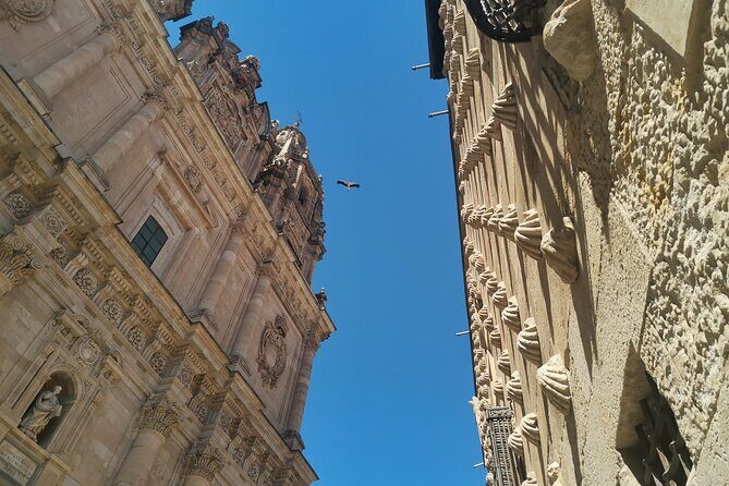 Must see Salamanca Walking Tour (could be billingual) - What You’ll Cover on the Tour