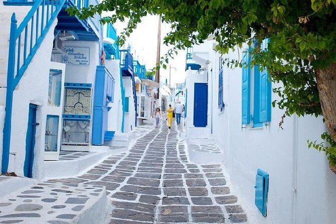 Mykonos Town and Island Half-Day Tour - What Could Be Improved or Considered