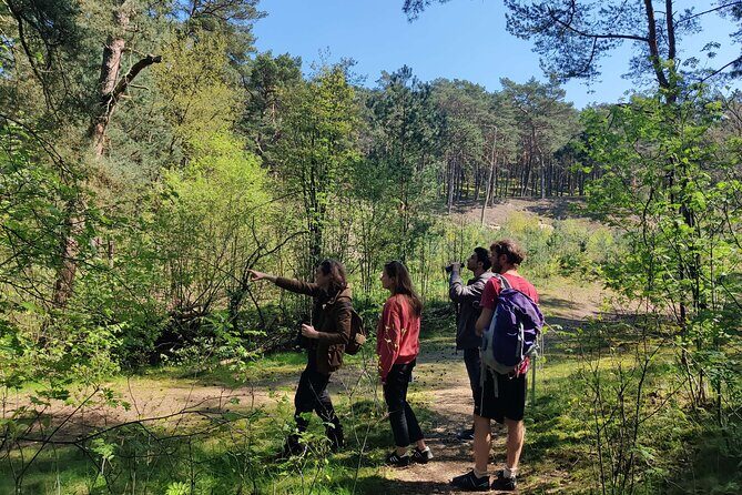 Nature Walk and Wildlife Tour in Sobieszewo Island - The Experience and Its Value