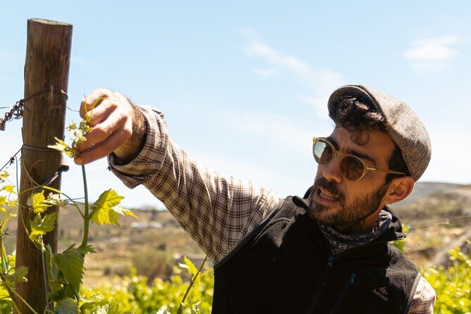 Naxos Private / Semi Private E-Bike Guided Tour Inland Methexis - Detailed Breakdown of the Itinerary