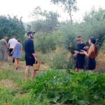 Naxos:Half-day cooking class at Basiliko - What to Expect: A Typical Day at Basiliko
