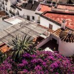 Nerja (Pueblo) + Frigiliana & El Acebuchal - Semi-Private - The Slight Downsides