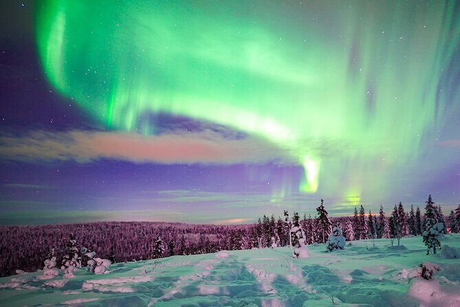 Night Snowshoeing Adventure under the Northern Lights - Frequently Asked Questions