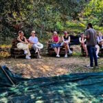 North Corfu Olive Tour With Olive oil Tasting & Meze - The Value and Who It’s Best For