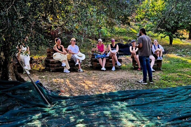 North Corfu Olive Tour With Olive oil Tasting & Meze - The Value and Who It’s Best For