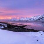North Lofoten Top Highlights Photo Tour (Haukland) - Why Travelers Love This Tour