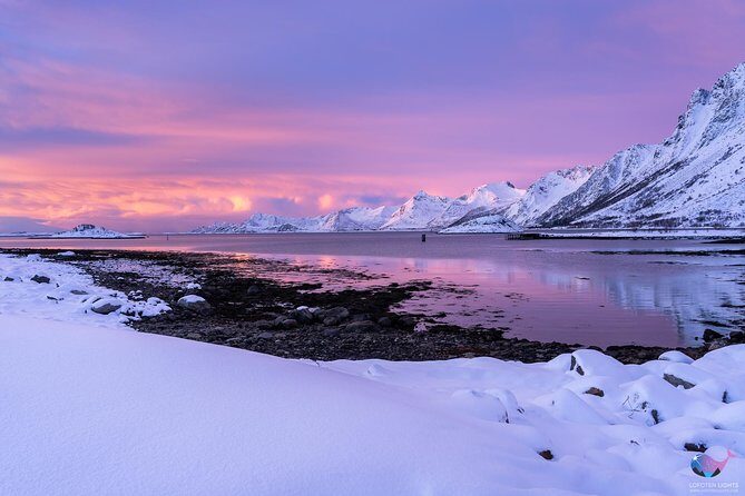 North Lofoten Top Highlights Photo Tour (Haukland) - Why Travelers Love This Tour