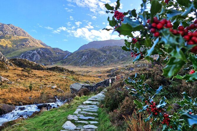 North Wales and Caernarfon Castle day-tour from Liverpool - How the Experience Comes to Life