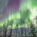 Northern Lights Adventure with Greenlander, 8 people max - The Real Deal: Pros and Cons