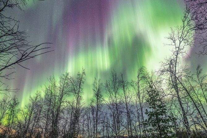 Northern Lights Adventure with Greenlander, 8 people max - The Real Deal: Pros and Cons