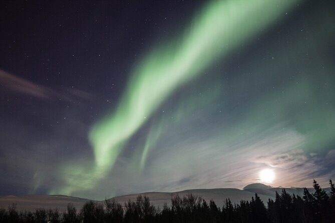 Northern Lights Classic Tour from Akureyri - Key Points
