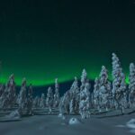Northern Lights Hunt from Rovaniemi with Folk Tales and Snacks over Campfire - The Downside – No Guarantees and Weather Woes