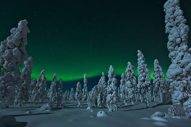 Northern Lights Snowmobile Safari from Rovaniemi with Campfire Picnic - Group Size and Flexibility