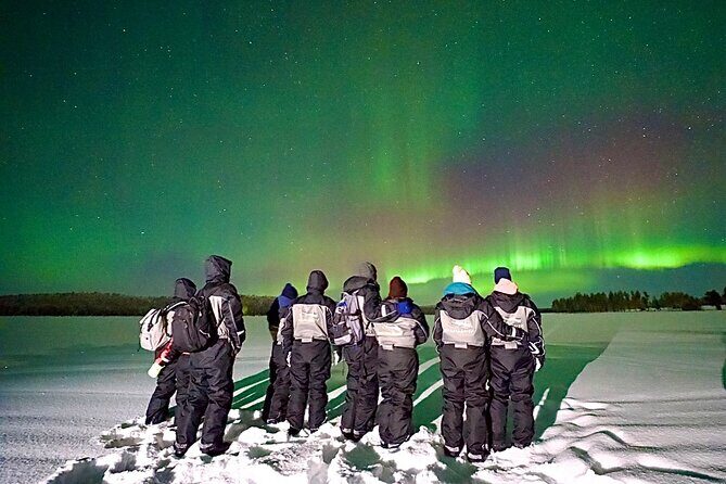 Northern Lights Tour Snowmobile Driving - The Snowmobile Experience