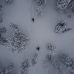 Northern Lights Tour With Skis Or Snowshoes in Pyhä - Who Is This Tour Best Suited For?