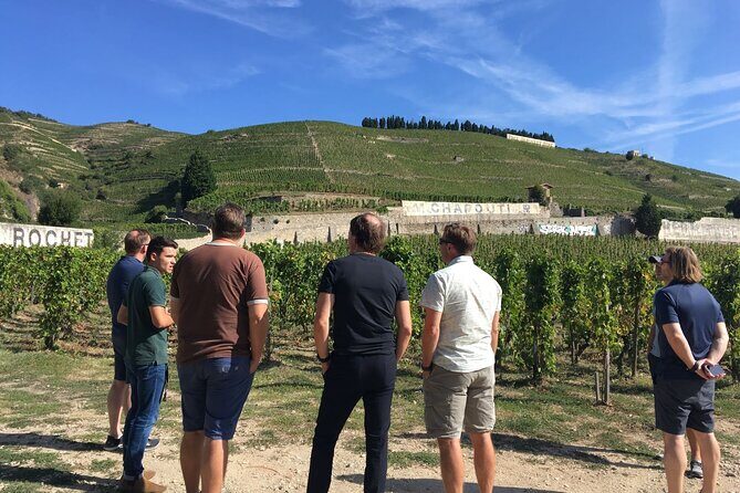 Northern Rhône Valley From Lyon Full day - Second Stop: Ampuis