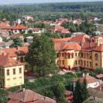 Novi Sad and Sremski Karlovci Wine Tour From Belgrade - Who Should Consider This Tour?