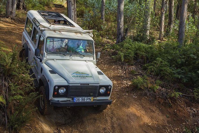 Nun's Valley & Sea Cliff - Half Day - Shared Tour - The Transportation and Overall Experience