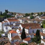 Obidos Medieval Village World Heritage Private Tour - Who Will Love This Tour?