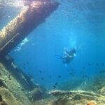 Observation of Dolphins and Snorkeling in a rubber boat in Olbia - The Experience: What Makes It Stand Out