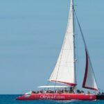 OBYCAT Experience - What’s Included and What’s Not