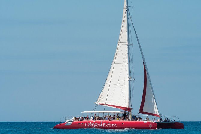 OBYCAT Experience - What’s Included and What’s Not