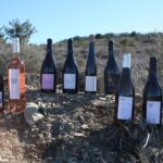 Oenological workshops at La Selve - An Honest Breakdown of the Château de la Selve Experience