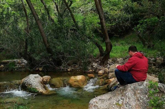 Off road experience jeep adventure at the Athenian mountains - Driving the 4x4: An Adventure in Its Own Right