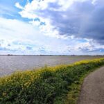 Off the Beaten Paths Dutch Landscape Private Tour 1/2 day Jaguar - Final Thoughts