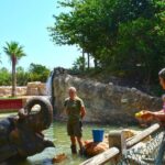 Offer Summer Terra Natura entrance ticket - The Signage and Maps