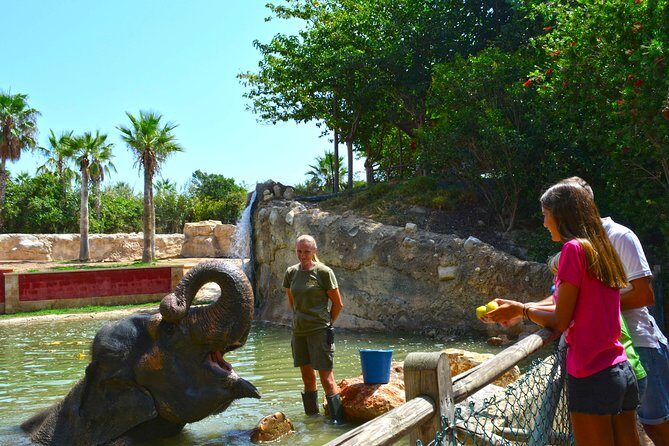 Offer Summer Terra Natura entrance ticket - The Signage and Maps