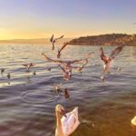 Ohrid City Walking Tour - A Closer Look at the Itinerary