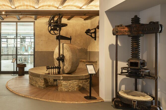 Oil museum and oil mill in Tuscany: tour and tasting - Who Should Consider This Tour?