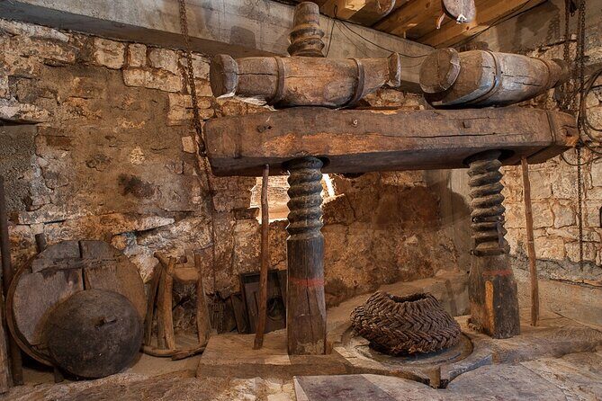 Olive oil farm to fork experience & short walking tour of Kotor - What Makes This Experience Special?