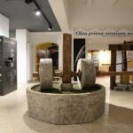 Olive Oil Guided Tasting and History in Pula - The Itinerary in Detail