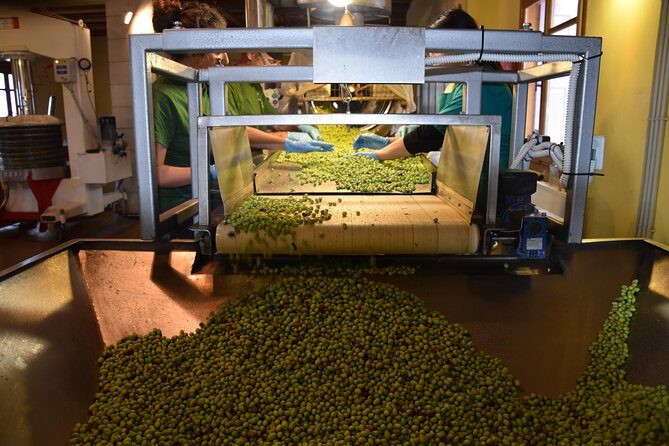 Olive Oil Tasting Tour - Why this tour works for travelers