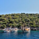 Oludeniz Boat Trip to Butterfly Valley and St Nicholas Island from Fethiye - What the Reviews Tell Us