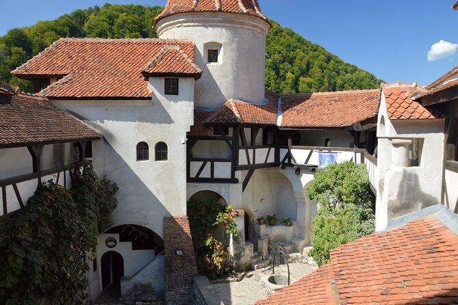 One Day Private Tour to Peles and Dracula Castles & Brasov City - The Real Experience from Travelers
