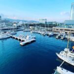 One-hour High-Speed Powerboat Ride - Practical Details and Tips